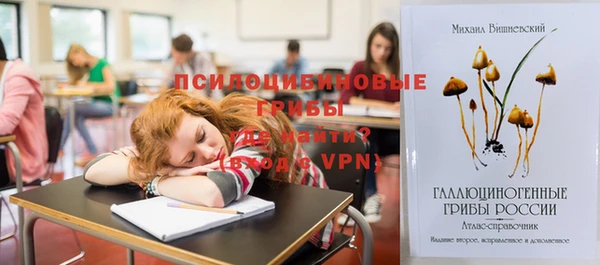 хмурый Богородицк