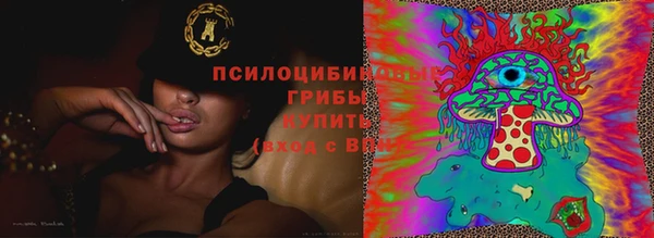 хмурый Богородицк