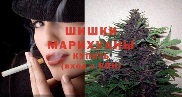 стаф Протвино