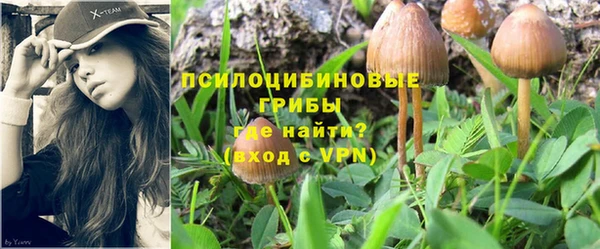 круглые Белокуриха